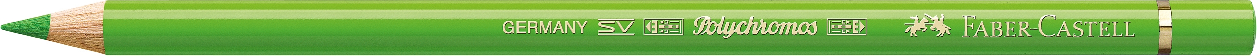 Faber-Castell Polychromos Grasgrün 166