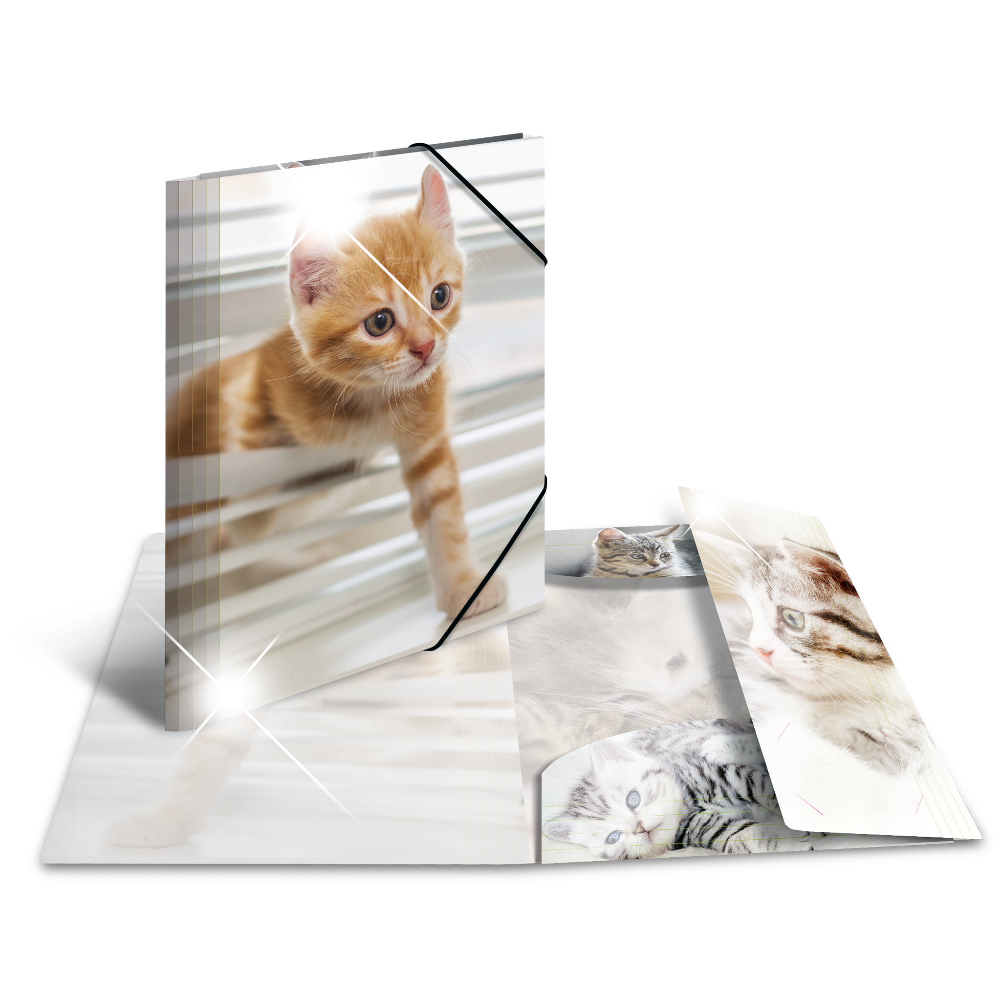 Sammelmappe Glossy Tiere A4 PP Katzen HERMA