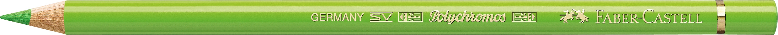 Faber-Castell Polychromos Lichtgrün 171