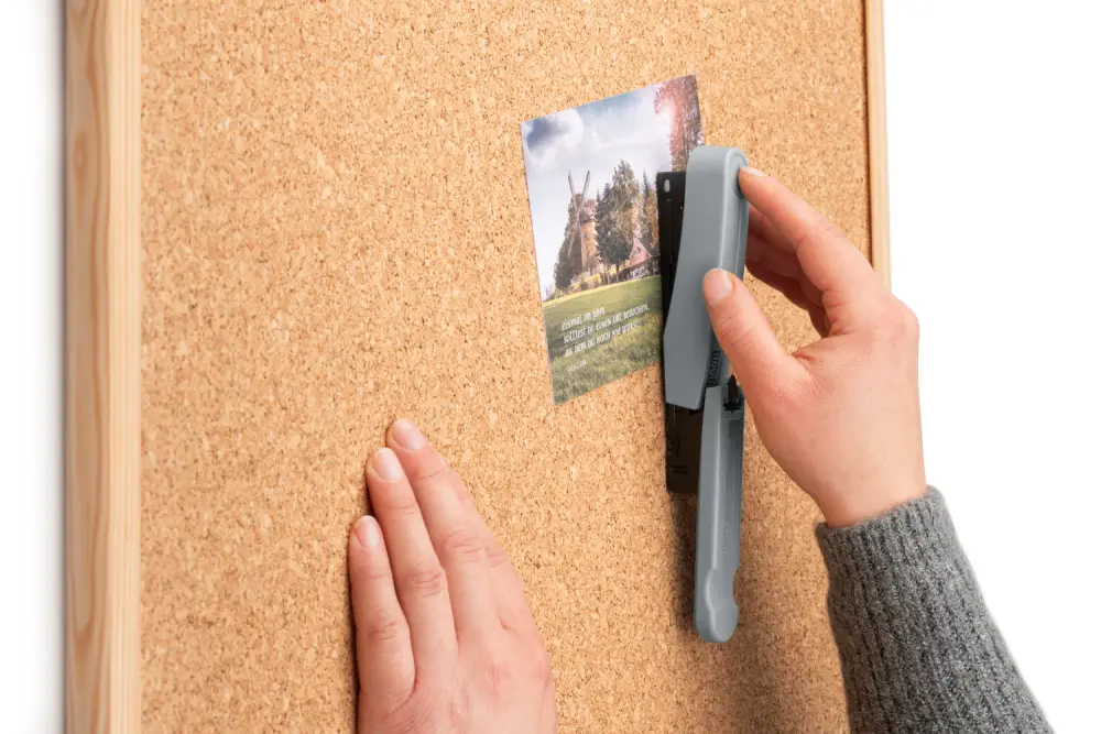 020-1962_01JXWEMA0R9MX16J9EP7MZ41Z6fs12sVc3ne5HQ