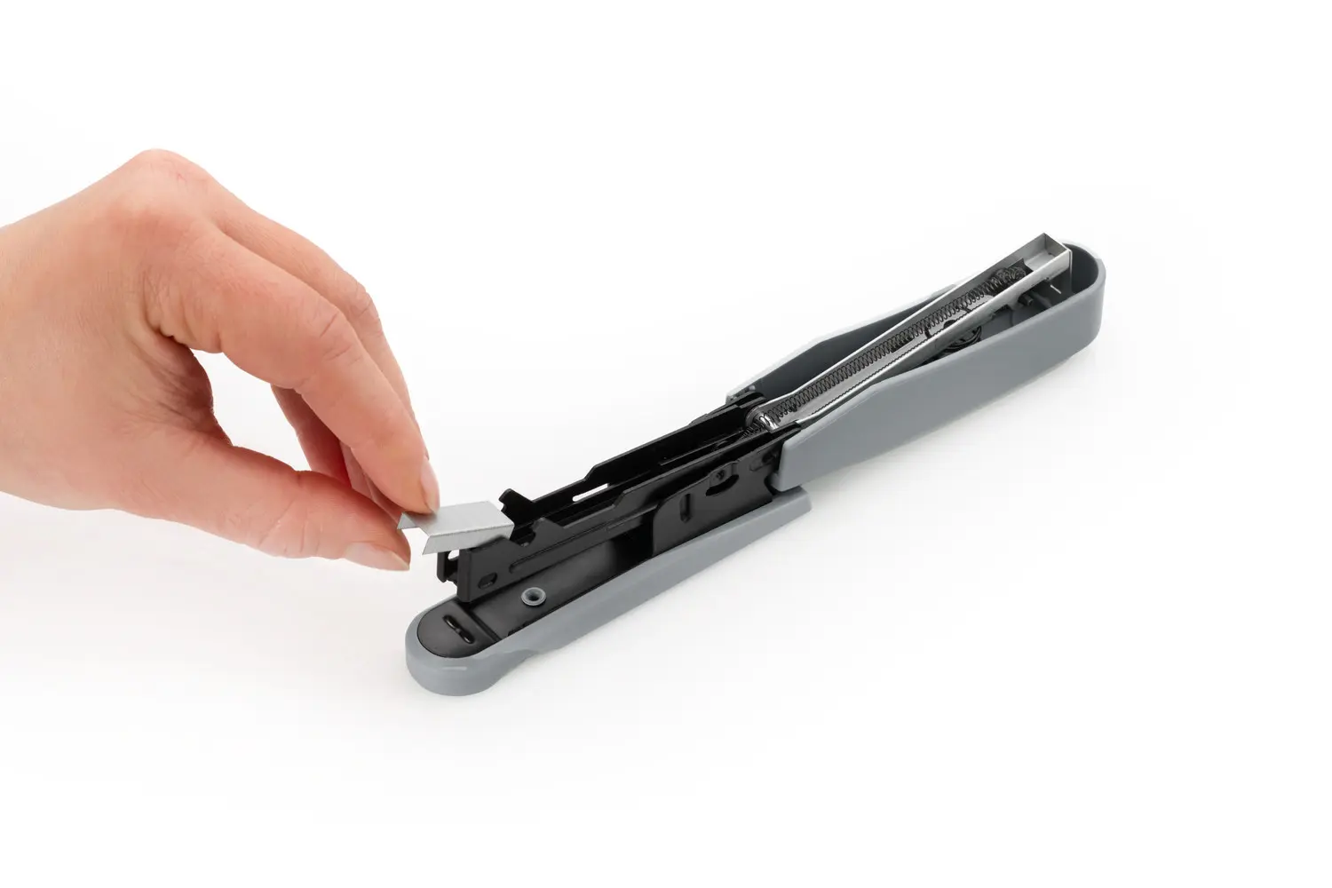 020-1962_01JXWEMA1TV5YVVRCT73TPNZCBoNOtdqct07Lj3