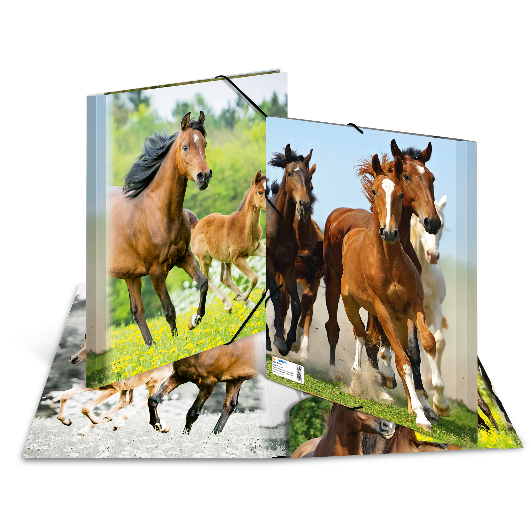 Sammelmappe A4 PP Pferde