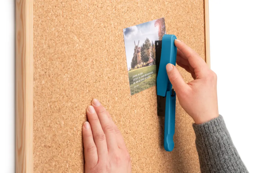 020-1961_01JXWEZ28N523Z13J6KTT65HFHcTYWv0qmbC5hQ