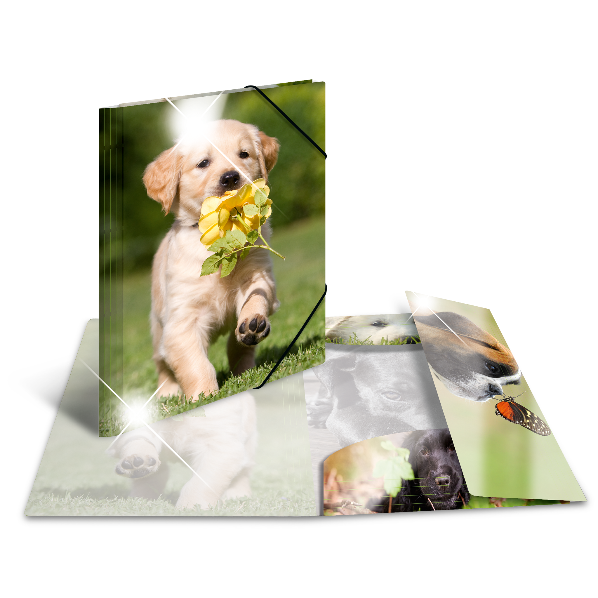 Sammelmappe Glossy Tiere A3 PP Hunde HERMA