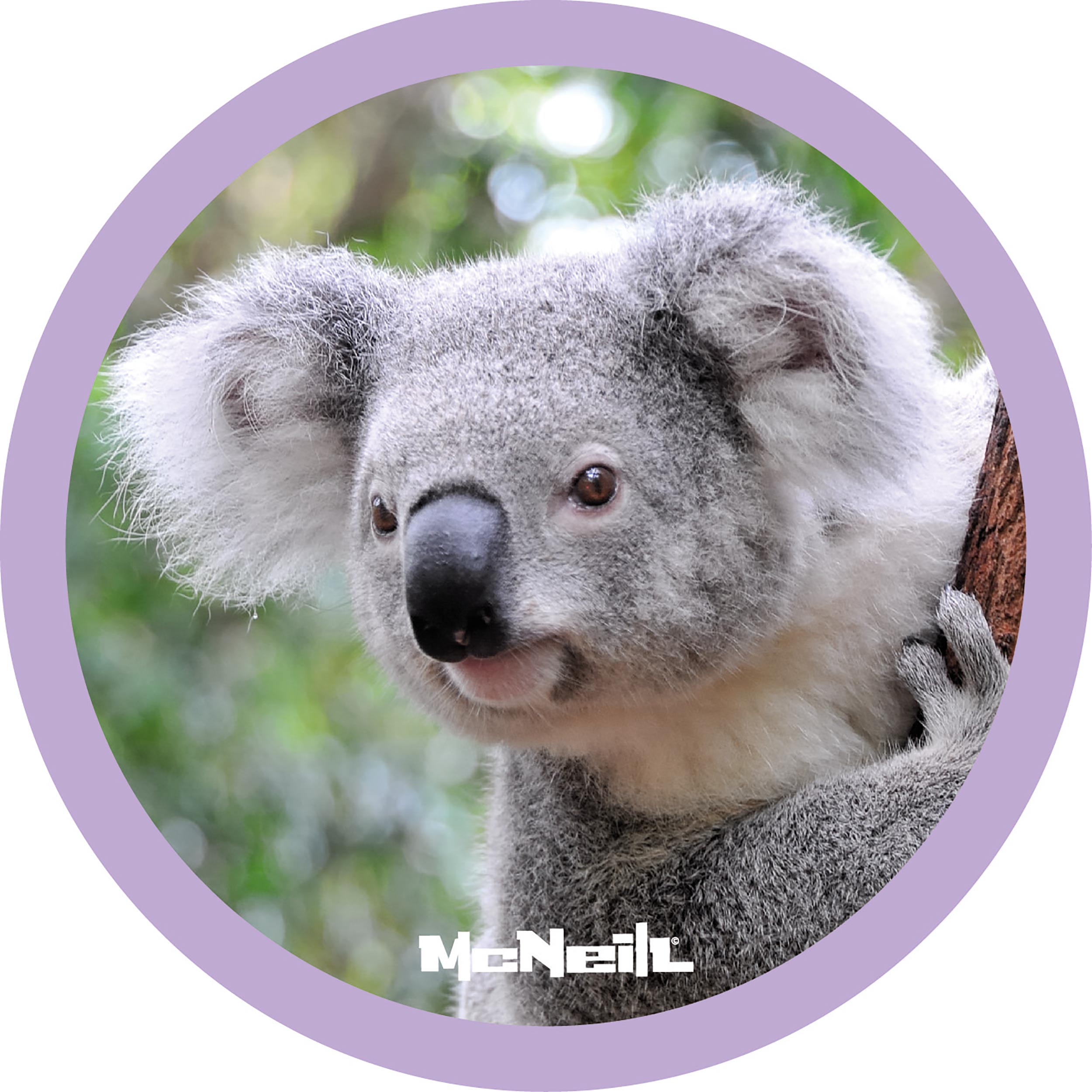 McNeill McAddy Dschungel - Koala