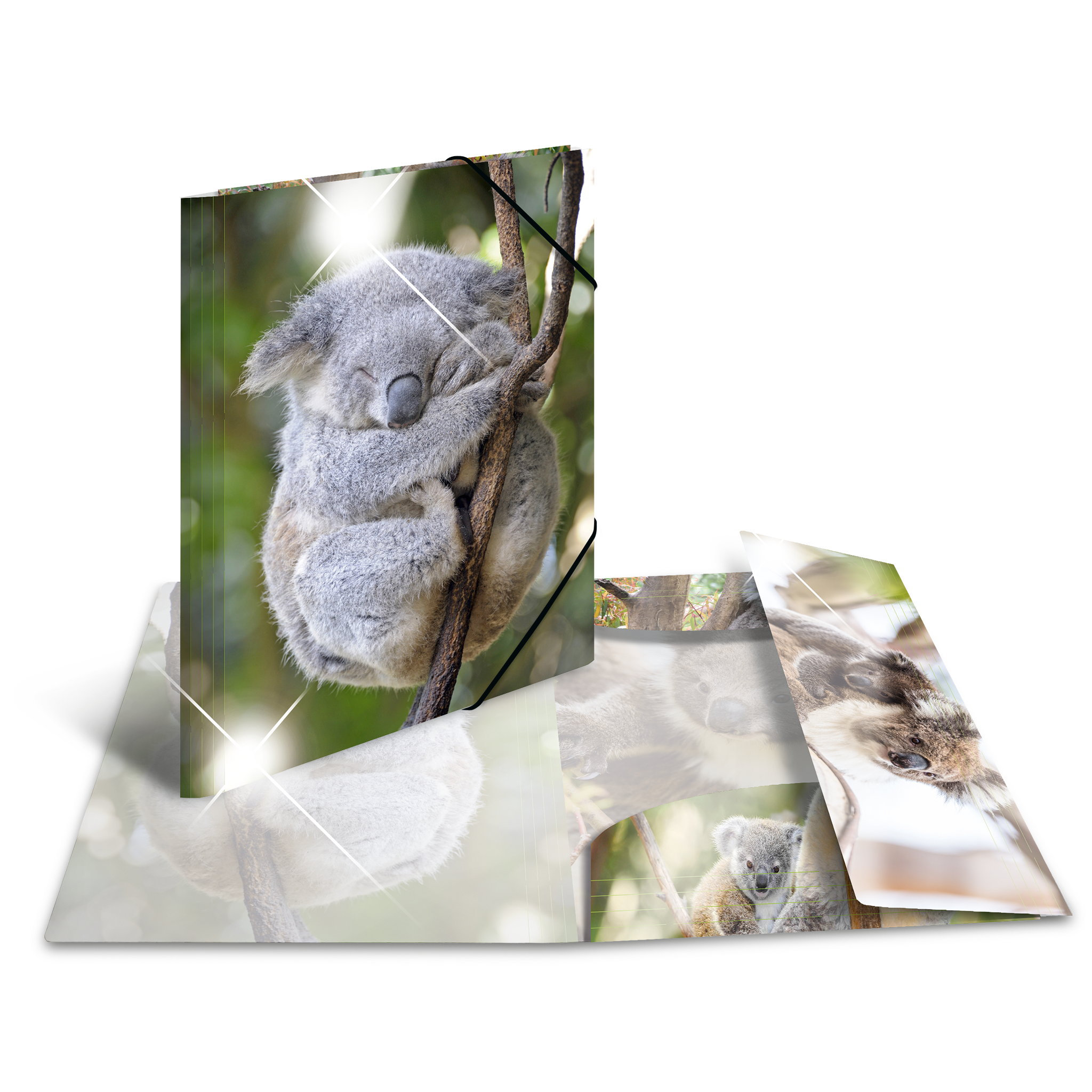 Sammelmappe Glossy Tiere A3 PP Koala
