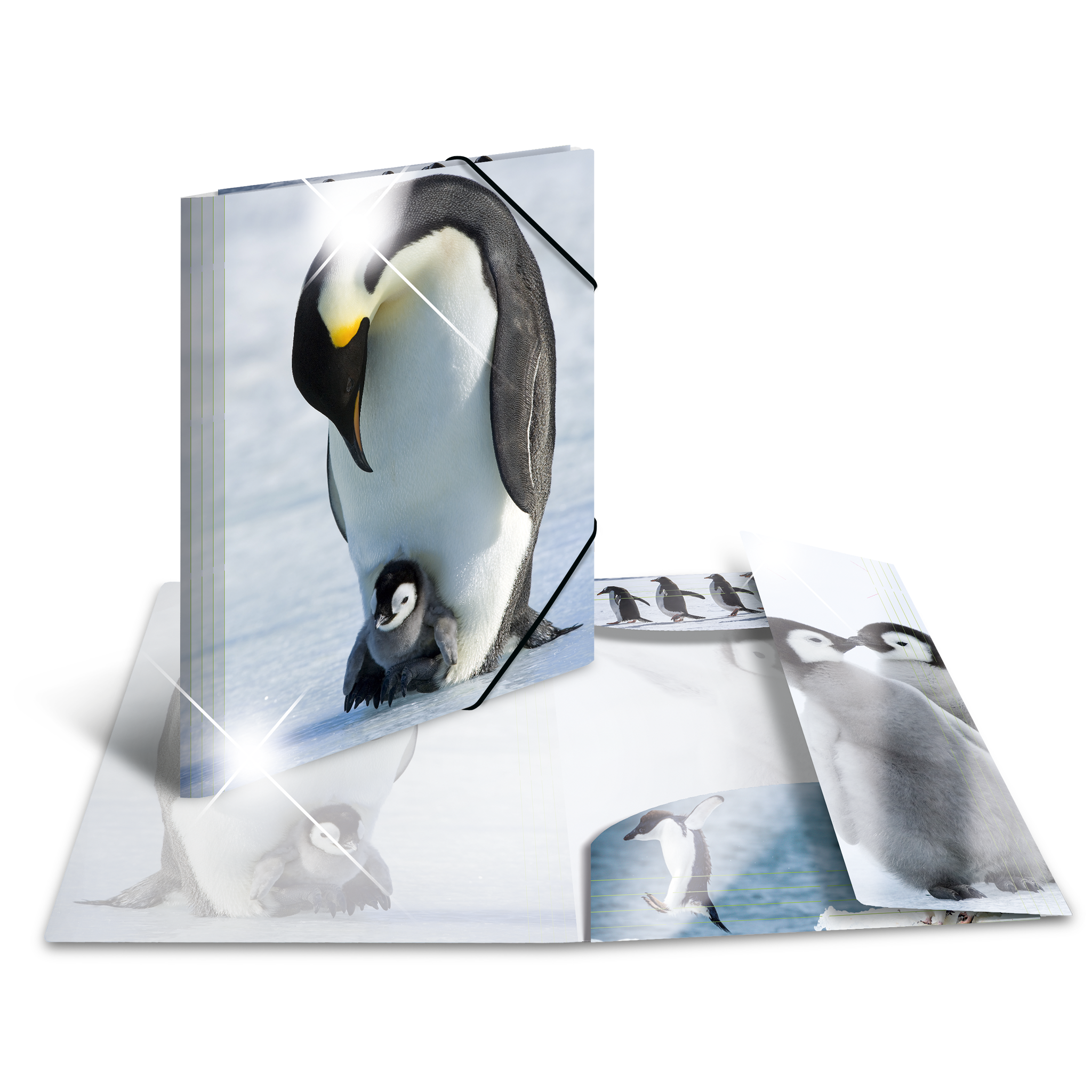 Sammelmappe Glossy Tiere A3 PP Pinguine HERMA