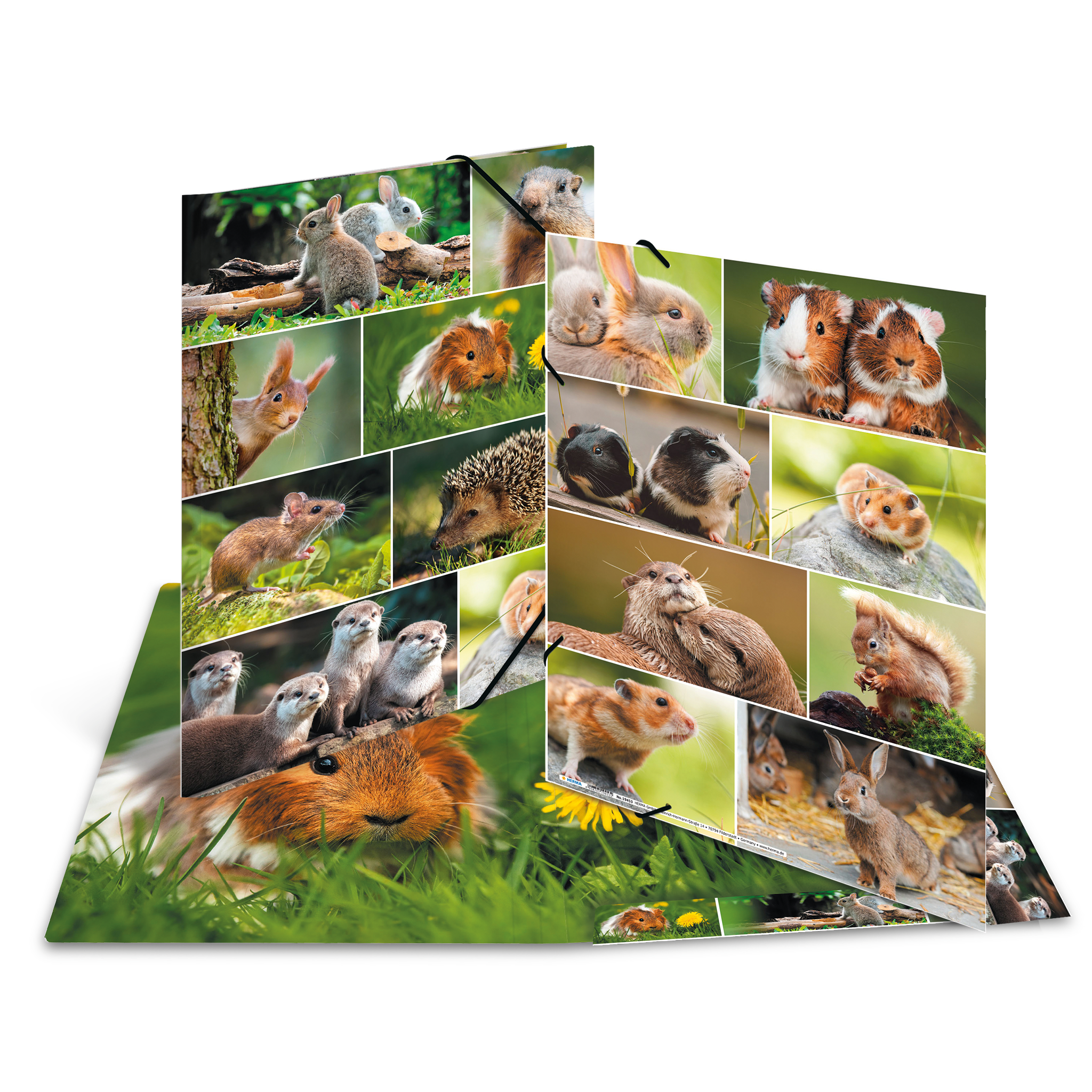 Sammelmappen A3 Karton Nagetiere HERMA