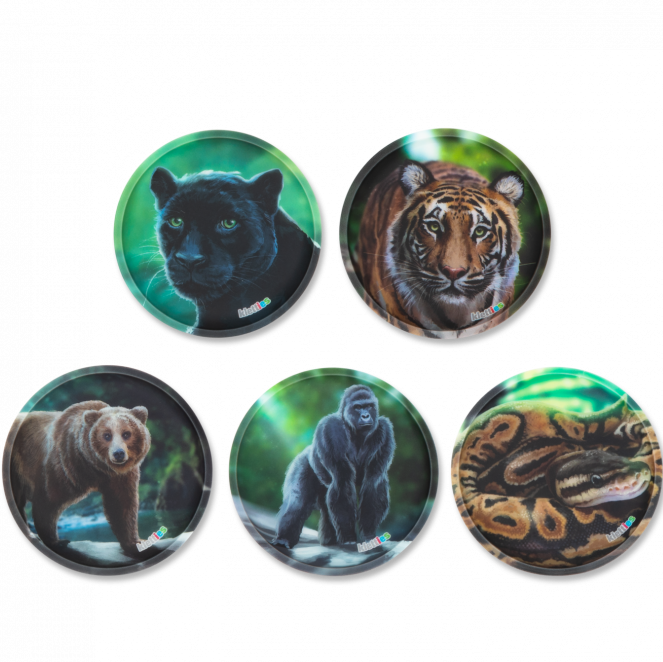 Dschungel6LDqOISZ0Cb16