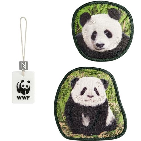 Step by Step MAGIC MAGS WWF Little Panda