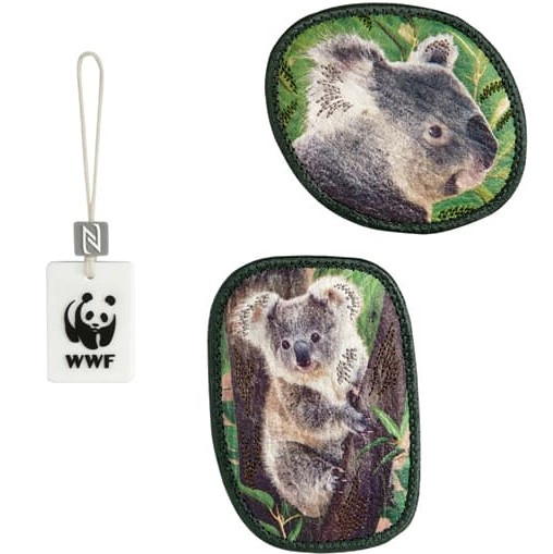Step by Step MAGIC MAGS WWF Little Koala