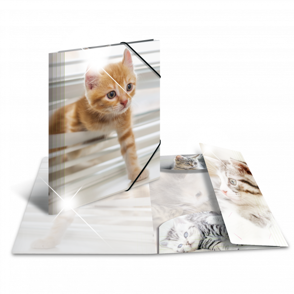 Sammelmappe Glossy Tiere A4 PP Katzen HERMA
